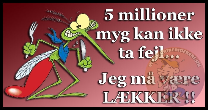 5 millioner myg kan ikke ta fejl