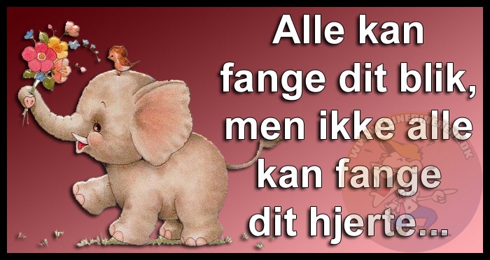 Alle kan fange dit blik