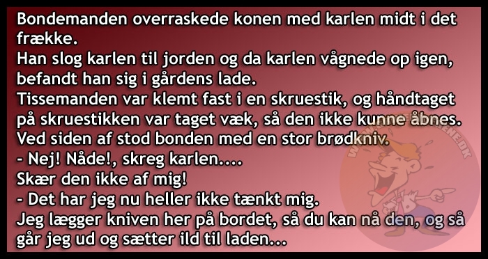 Bondemanden overraskede konen