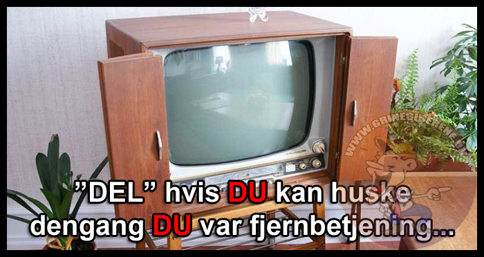 DEL hvis DU kan huske dengang DU var fjernbetjening