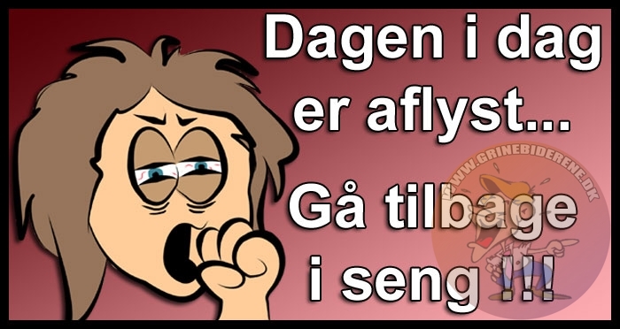 Dagen i dag er aflyst