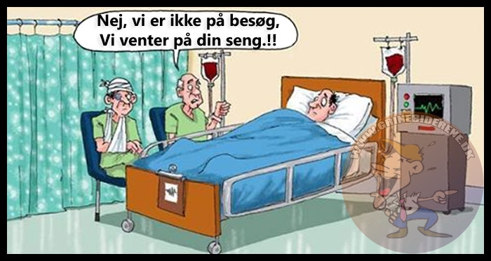 De danske hospitaler