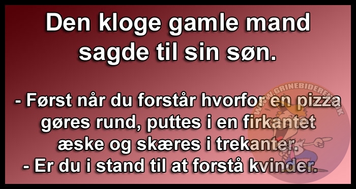 Den kloge gamle mand sagde til sin søn