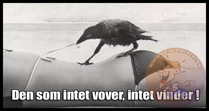 Den som intet vover, intet vinder