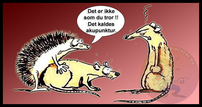 Det er ikke som du tror