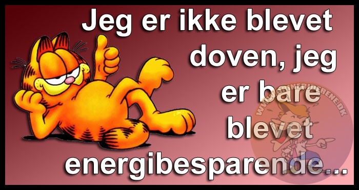 Jeg er ikke blevet doven, jeg er bare blevet energibesparende