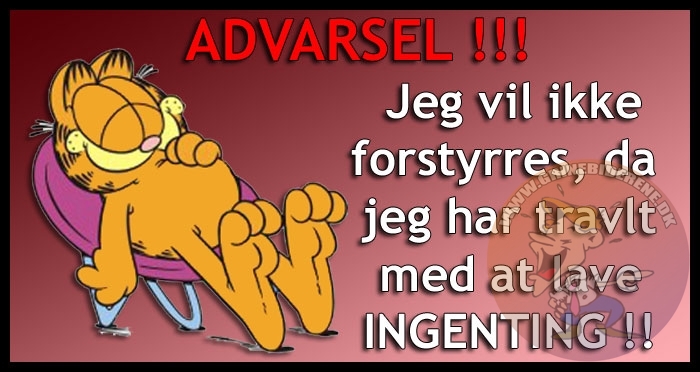 Jeg vil ikke forstyres, da jeg har travlt med at lave ingenting