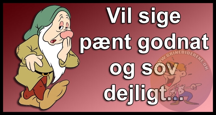 Vil sige pænt godnat